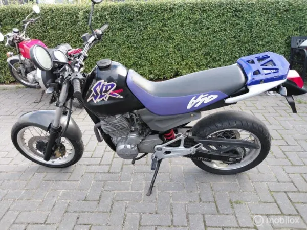 1998 Honda SLR 650 - € 1.450 (1/1)