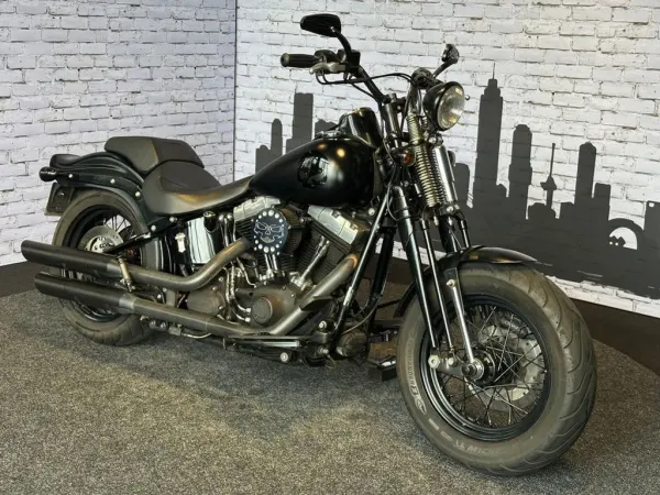 2008 Harley-Davidson Cross Bones Flstsb - € 13.990 (1/1)