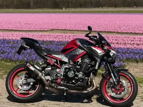 2024 Kawasaki Z 900 - €11,000 (1/1)
