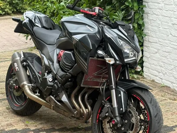 2017 Kawasaki Z800-SC Project - €4,750 · Bidding (1/1)