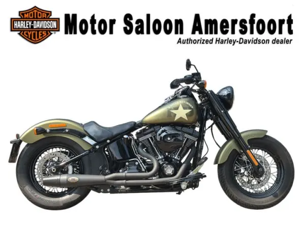 2016 Harley-Davidson FLSS Softail Slim S (bj 2016) - €18,950 (1/1)