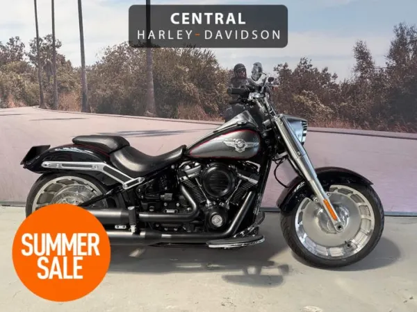 2019 Harley-Davidson Harley-Davidson Fat Boy 107" - € 22.450 (1/1)