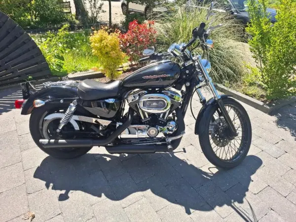 Year unknown Harley-Davidson 1200 Custom - €5,750 · Bidding (1/1)