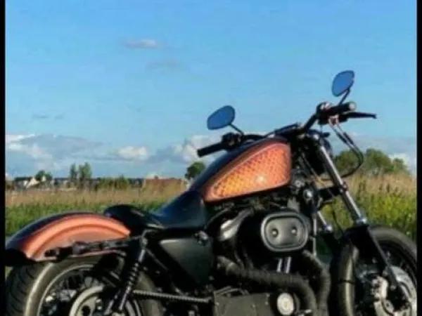 2003 Harley-Davidson Sportster 883 - Bidding (1/1)