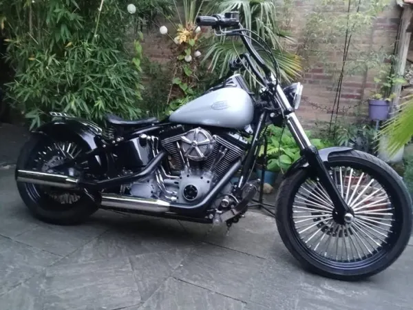 Year unknown Harley-Davidson Fxst Softtail Customized Diamond Ice - €7,000 · Bidding (1/1)