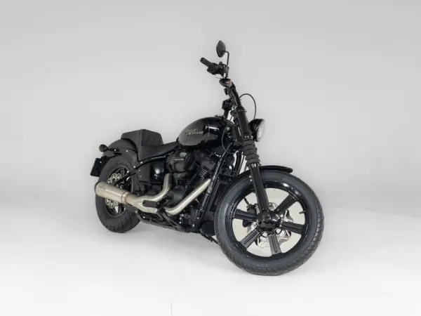 2018 Harley-Davidson Softail - € 24.950 · Bieden (1/1)