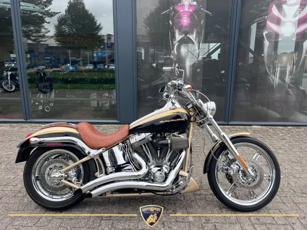 2003 Harley-Davidson Deuce Fxstd Softail - € 12.950 (1/1)