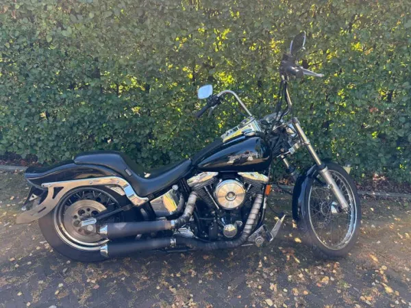 1993 Harley-Davidson Softail - €5,000 (1/1)