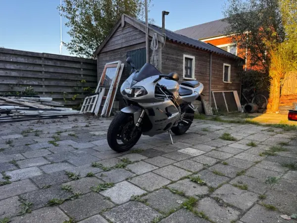 2001 Triumph Daytona 955i 2001 !BLOK STUK! 61k km - Bidding (1/1)