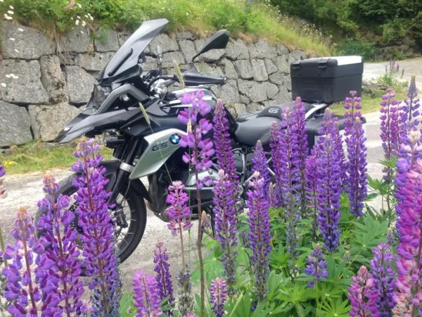 2016 BMW R 1200 GS Triple Black 2016 - €12,975 · Bidding (1/1)