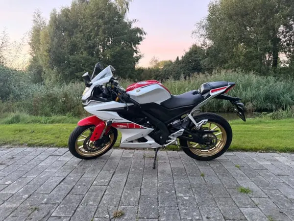 2022 Yamaha YZF R125 ABS 2022 A1 - €4,250 · Bidding (1/1)