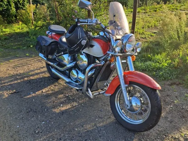 1996 Kawasaki VN 800 CL 1996-Chopper met Diep Geluid - €2,500 · Bidding (1/1)
