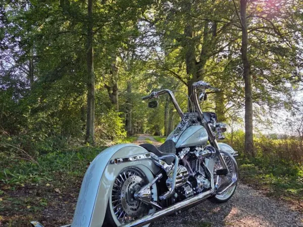 2006 Harley-Davidson Softail - € 18.750 (1/1)