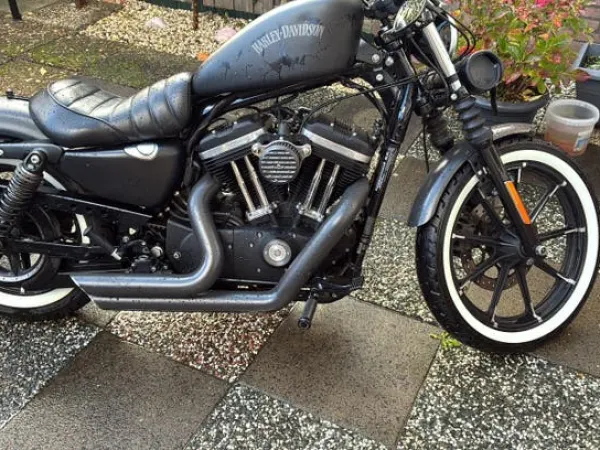 Year unknown Harley-Davidson Sportster Iron 883 - €7,500 · Bidding (1/1)