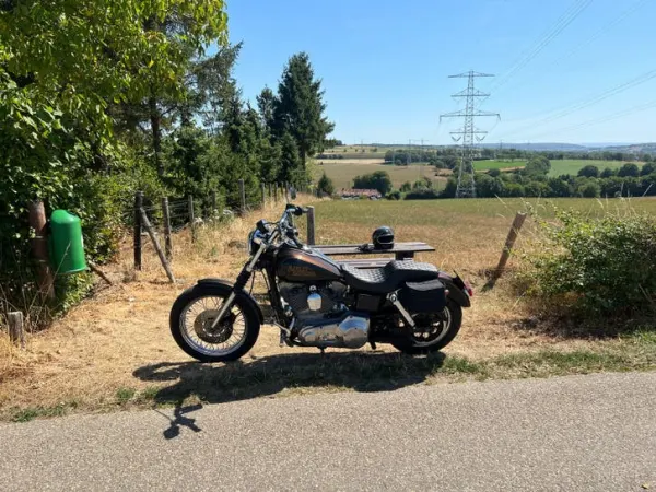 1999 Harley-Davidson Dyna Super Glide - €8,750 · Bidding (1/1)
