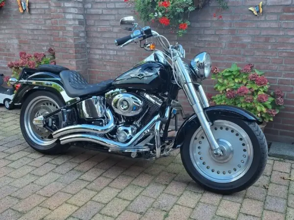 2008 Harley-Davidson Fat Boy - €10,000 (1/1)