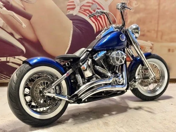 2000 Harley-Davidson Softail - € 14.950 · Bieden (1/1)