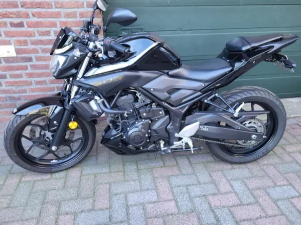 2019 Yamaha MT 03 - Bidding (1/1)